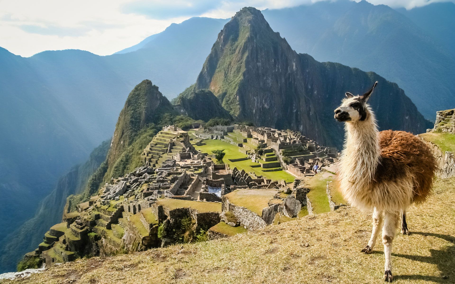 Read more about the article Peru 2016
